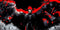 Halloween Is Coming Soon, Did You Prepare Well Your Halloween Costume? | Xcoser International Costume Ltd.