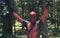 The Memoirs (of a new but not so new cosplayer.) 【Essay Competition】 | Xcoser International Costume Ltd.