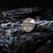 Xcoser Star Wars Clone Troopers Coins The New Republic Credits Boba Cosplay Props Currency Metal Badge Collection Version（only for US）