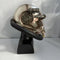 Xcoser Fallout 76 PlayStation 4 Power Armor Edition T-51 Life Scale Helmet Prop