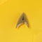 Xcoser Star Trek: Strange New Worlds Cosplay Starfleet Uniform & Badge Top Shirt